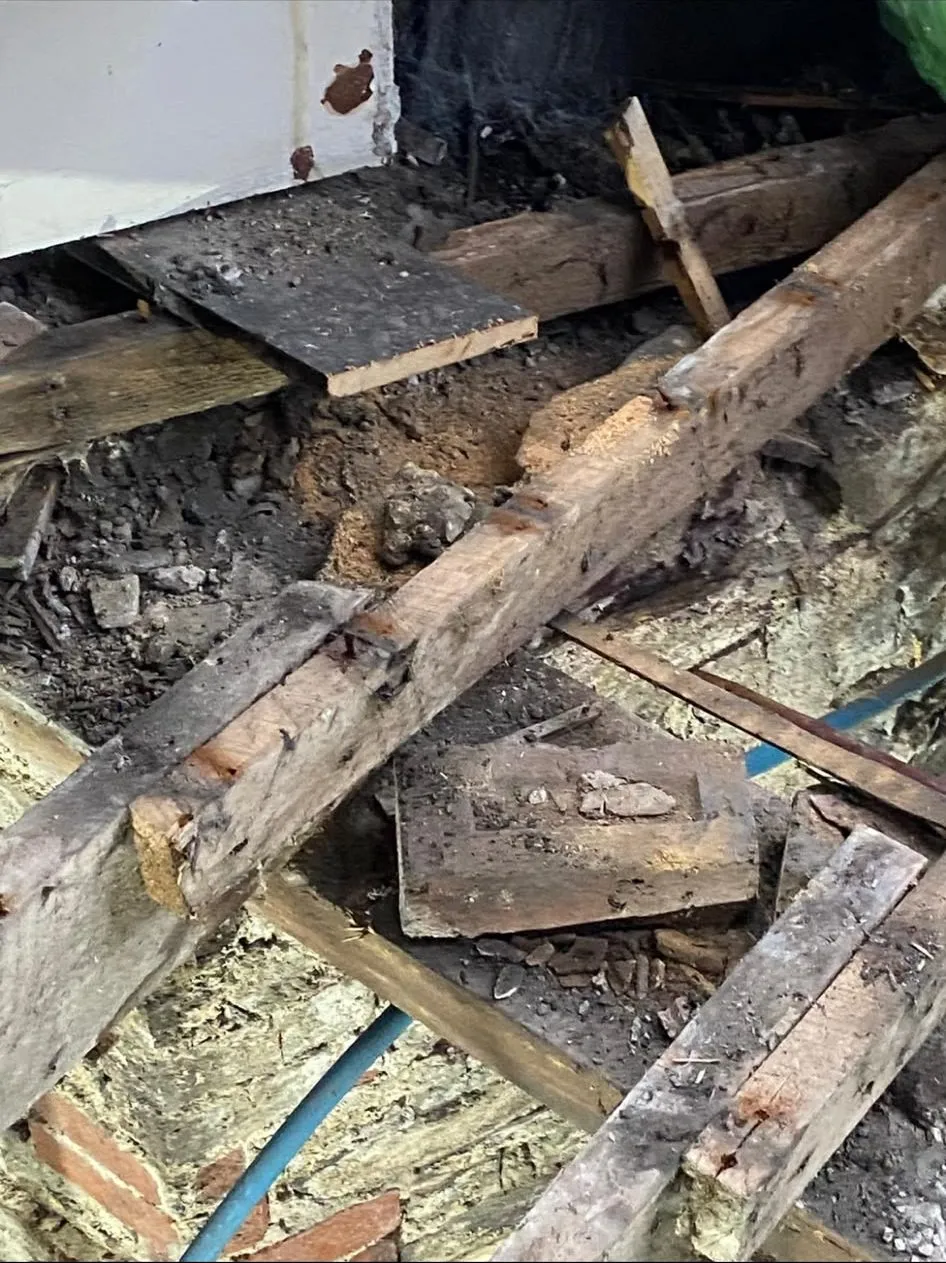 Floor timbers and joists exposed for inspection in a property investigation