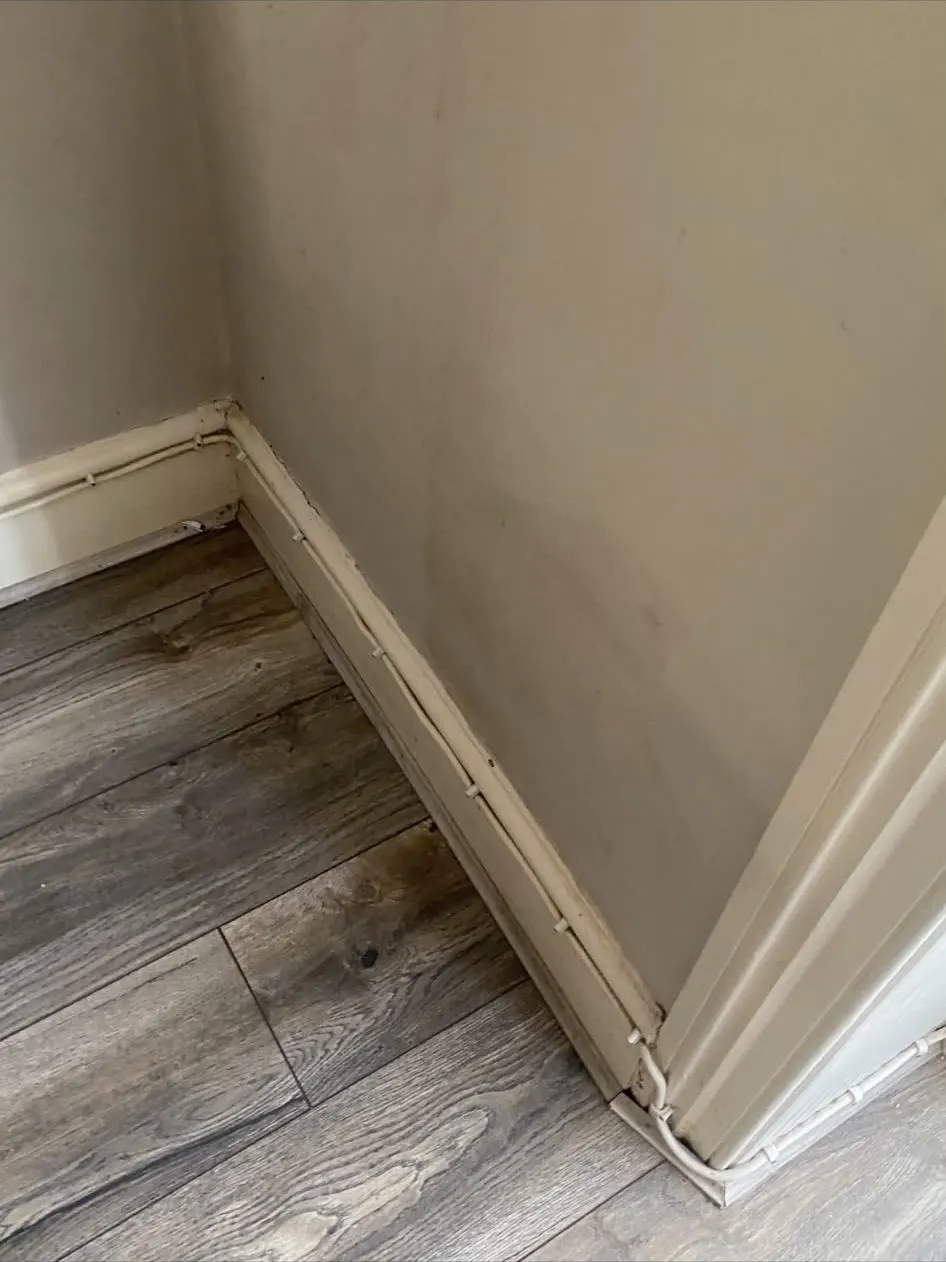 Low-level wall and skirting being examined during a damp investigation
