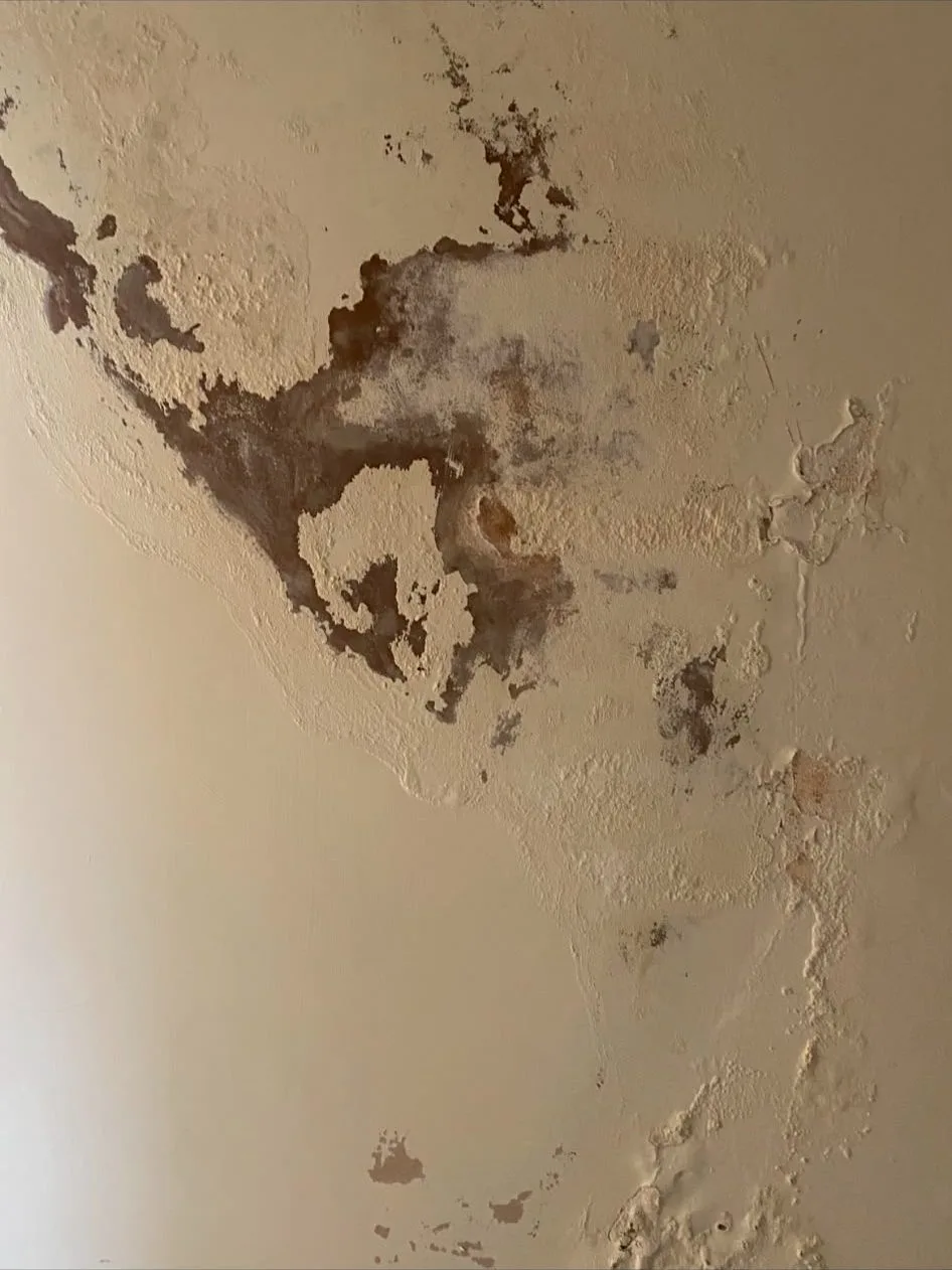 Dark staining and flaking paint on a damp-affected ceiling