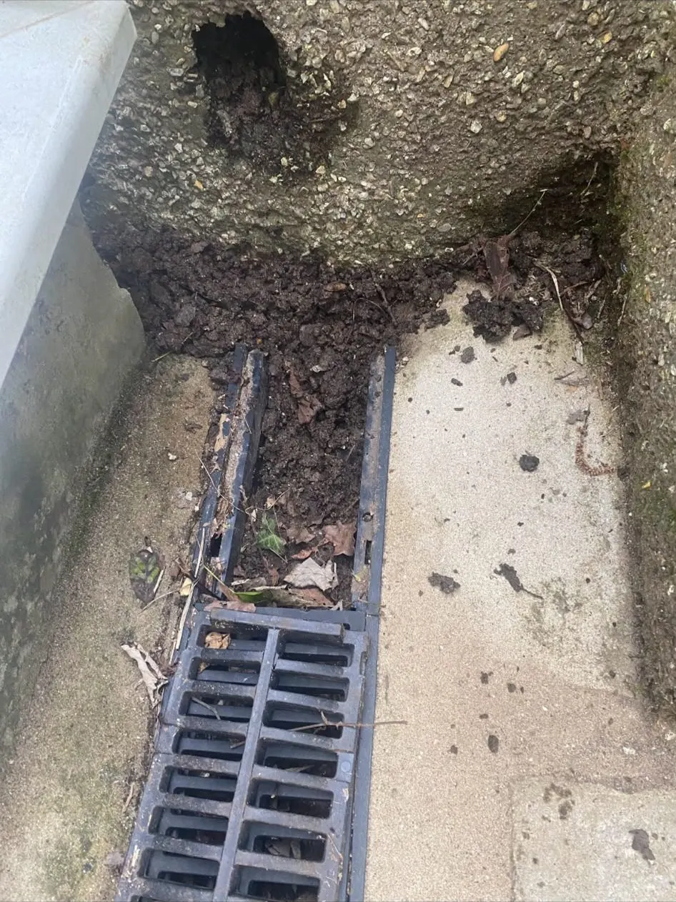 External drainage channel examined as part of a moisture investigation
